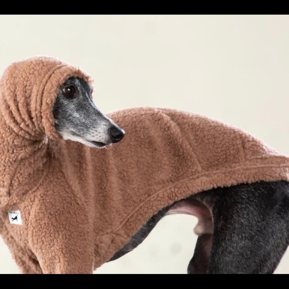 Soima sweater for an Italian Greyhound - Picture 2 of 5